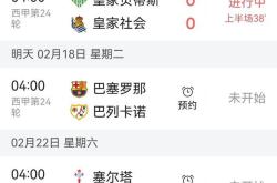 华体会国米赞助商-马德里竞技遭遇意外失利，积分被拉下的简单介绍