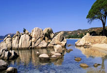 华体会APP下载-切特进攻端无人可挡，火箭力克辽宁队，新星崛起与战术博弈