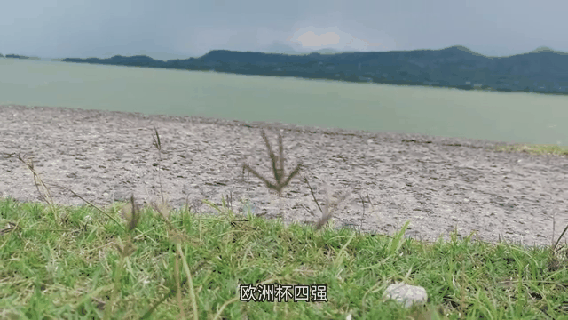 冰岛队惊险晋级，成功跻身十六强