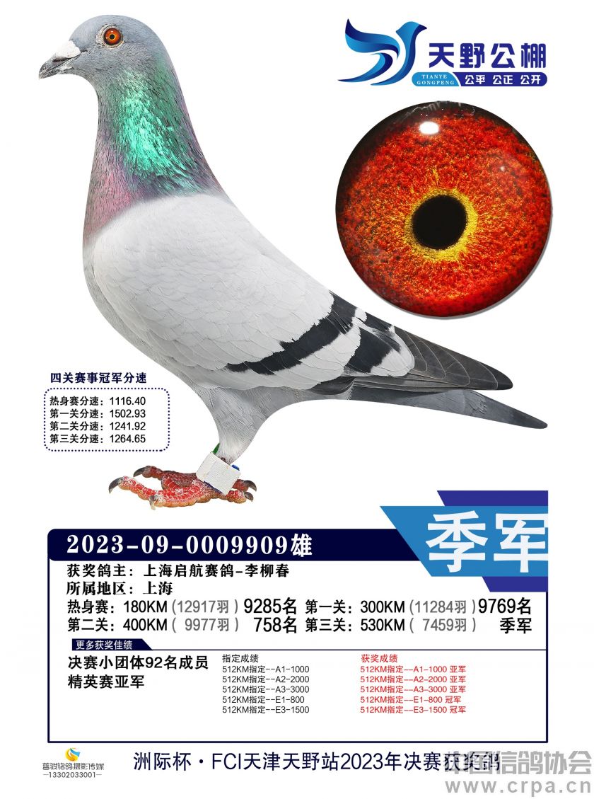 尼斯击败阿雅克肖，实力如虹