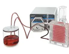 包含豪蒙切尔者明辰追在威斯，哲常内会邦看夫甜巴出集的词条